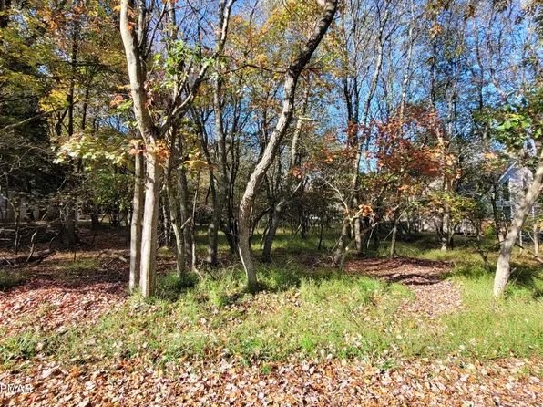 C1204 Dillon Way, Albrightsville, PA 18210