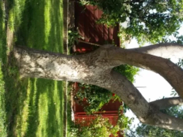 (undisclosed Address), Camarillo, CA 93010