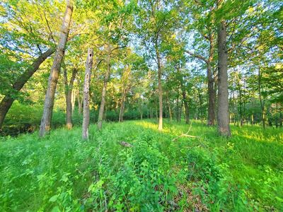LOT 3 Chestnut St, Marine On Saint Croix, MN, 55047