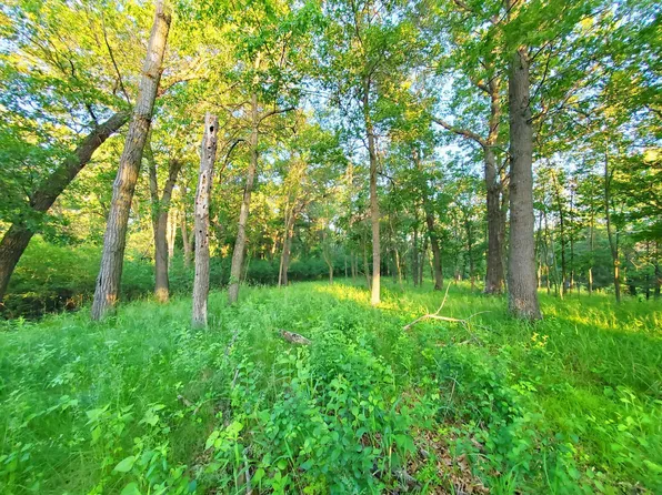 LOT 3 Chestnut St, Marine On Saint Croix, MN 55047
