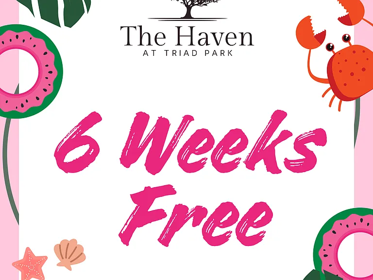 The Haven at Triad Park — Photo 19