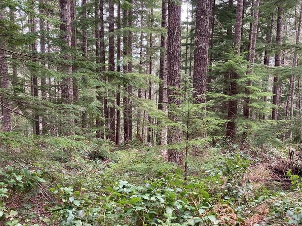 1350 N Hilltop Loop Road, Hoodsport, WA 98548