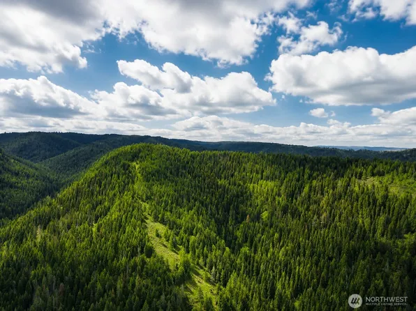 30 Acres off Biscuit Ridge, Waitsburg, WA 99361