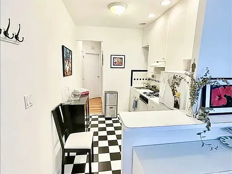 500 1/2 E 84th St #4B — Photo 5