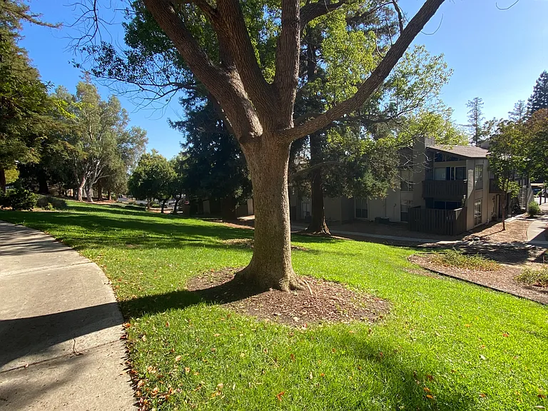 2 bed, 1.0 bath, 840 sqft, $2,395 — Photo 4