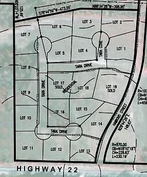 2nd image of 4 Tara Cv #4