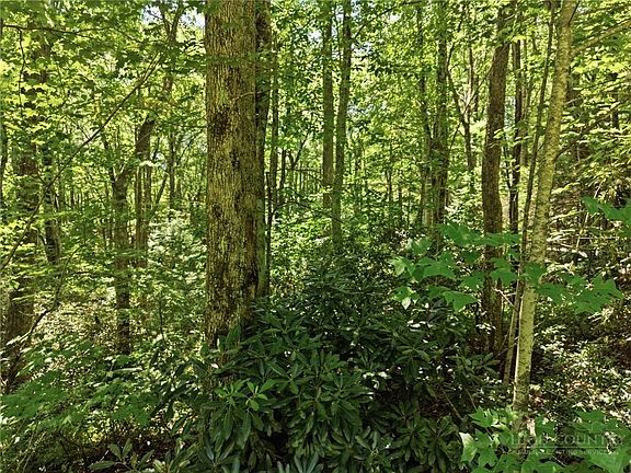 3rd image of Lot 29 Chickasaw Trail
