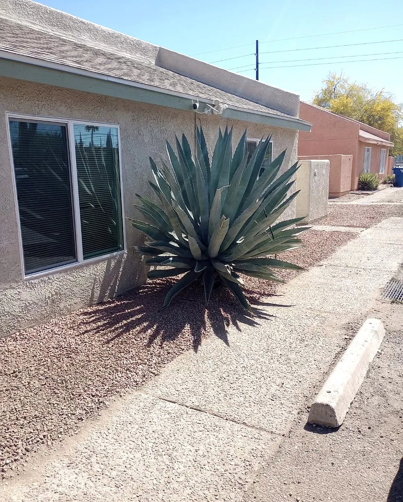 Pima Street - 3455 — Photo 1