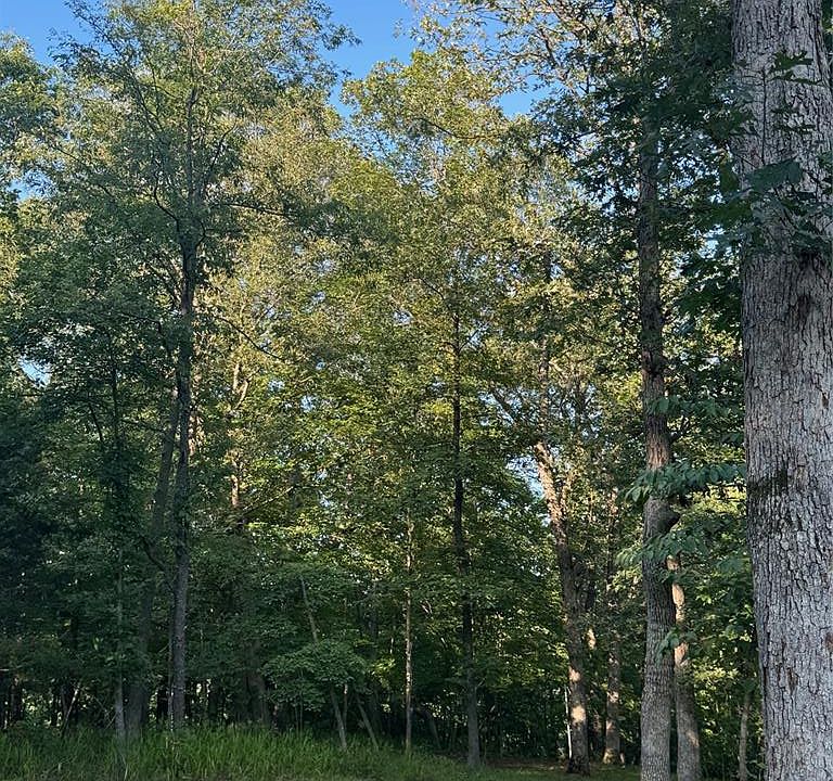 2nd image of 190 Steeple Point Dr Lot 6