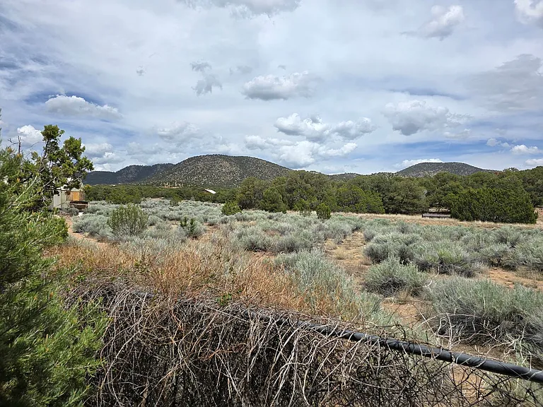 9B Old Dog Run — Photo 42