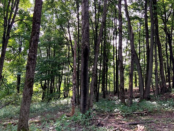 2nd image of 1075 County Road 24