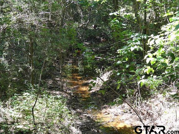 2nd image of Tbd Us Highway 79