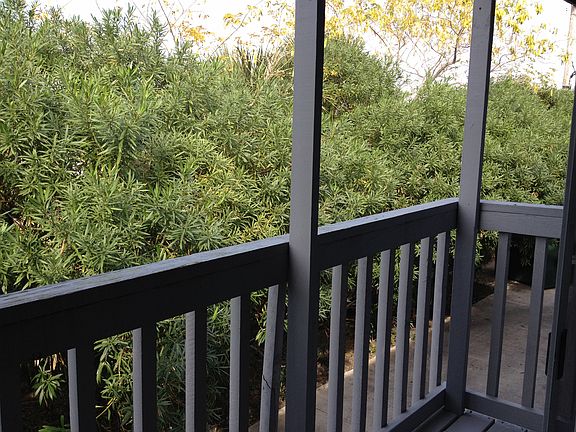 Treetop View from Balcony