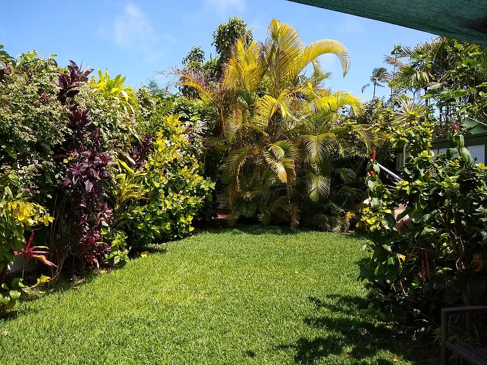 Backyard view from bedroom sliding door