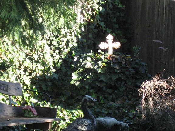 relax in the shade
