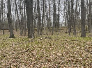 10300 Lost Canyon Dr #336, Stanwood, MI