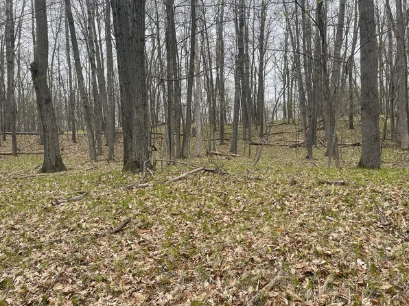 10300 Lost Canyon Dr #336, Stanwood, MI 49346
