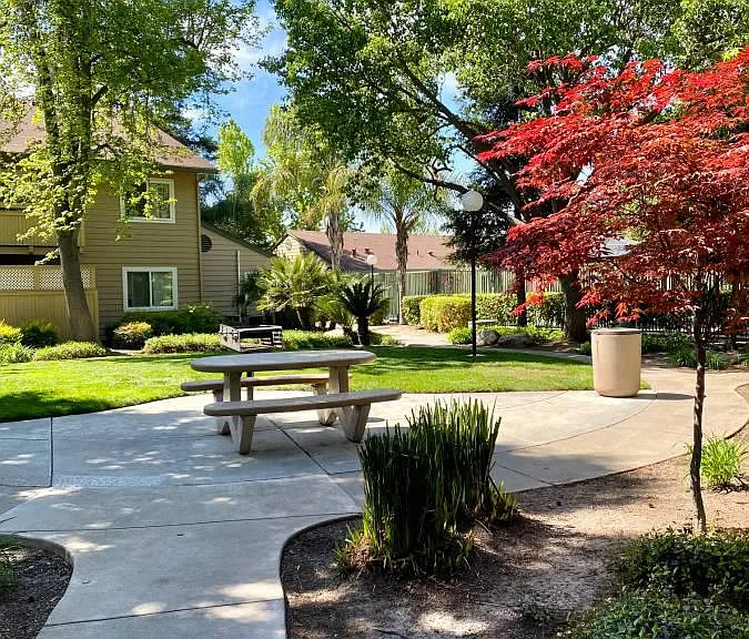 Valley Oak — Photo 45