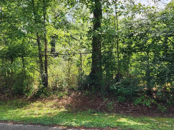 20975 Vincent Acres Rd, Denham Springs, LA 70726