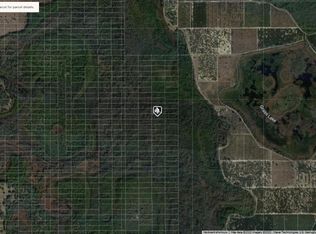 Sweet Hill Rd, Polk City, FL 33868