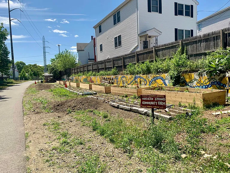 Wellington Ave — Photo 11