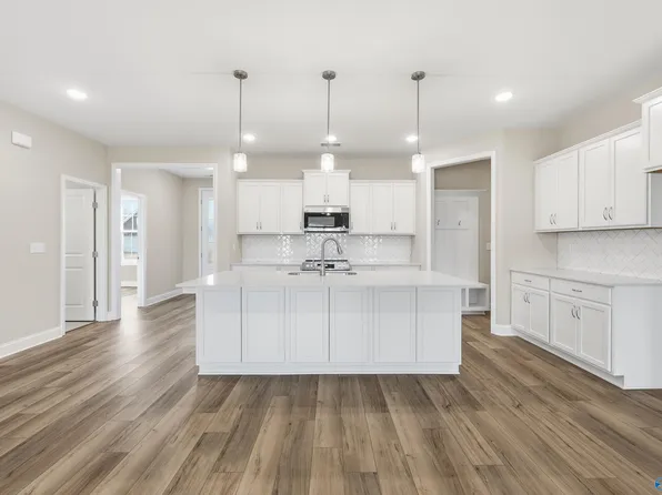 106 Lucy Lynn Blvd, Meridianville, AL 35759