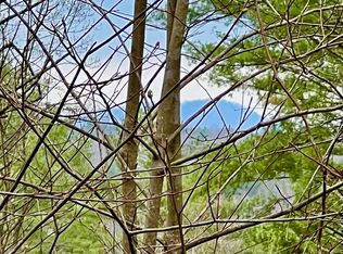 0 Walker Cir, Mineral Bluff, GA 30559