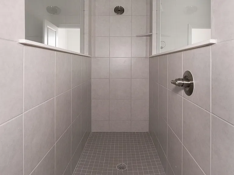 Master shower