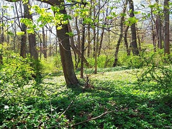 2nd image of Pine Road & Pepperidge Road