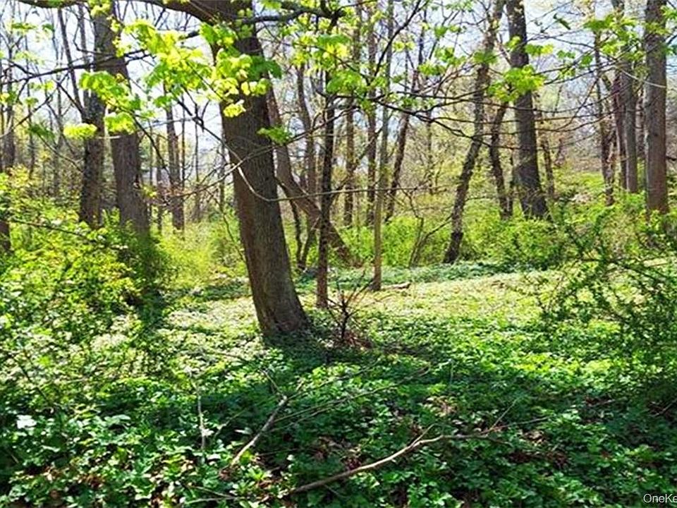 2nd image of Pine Road & Pepperidge Road