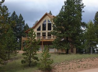 11 Antero Cir, Florissant, CO 80816