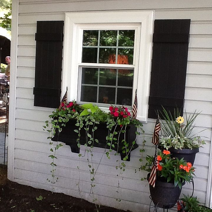 New Windows/Shutters 2014