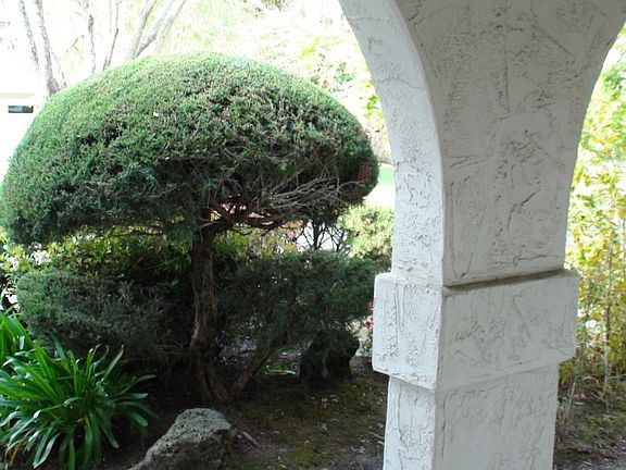 3rd image of 1218 Tulane Dr