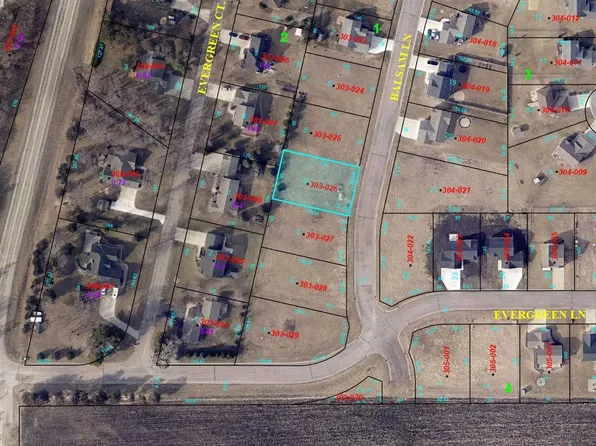 82 Balsam Ln, Madison Lake, MN 56063