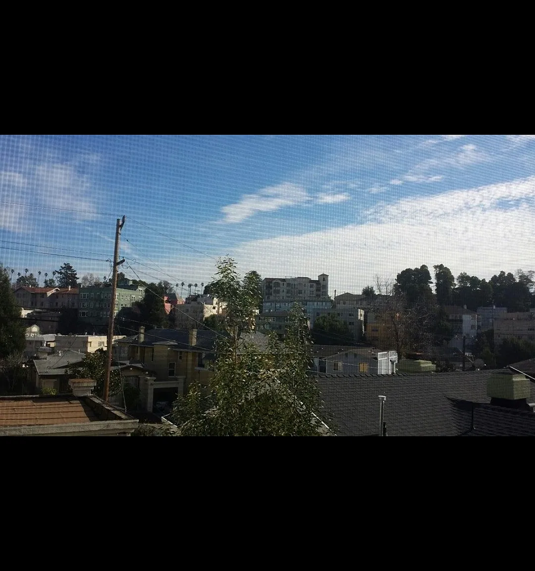 Studio, 200 sqft, $1,200 — Photo 4