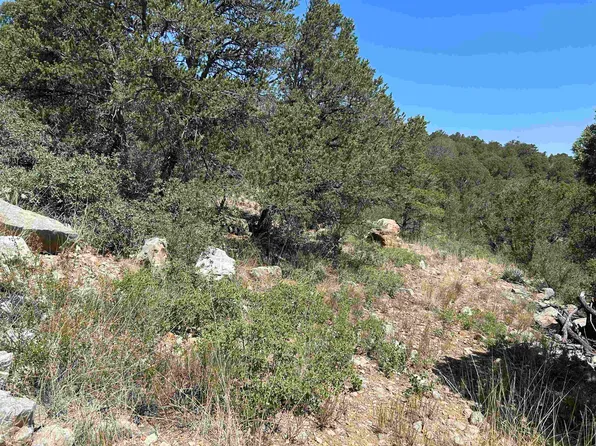 Norwood Dr, Timberon, NM 88350