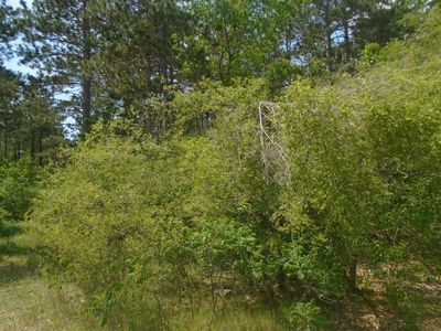 0 Highway 12, Baraboo, WI, 53913