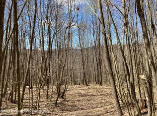Bethel Hill Rd, Susquehanna, PA 18847