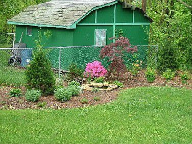 Backyard in the spring