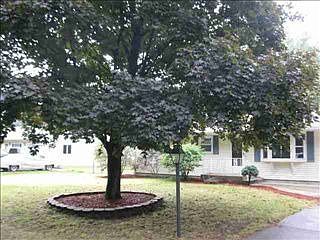 2nd image of 1910 Cheryl St