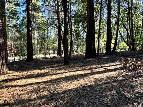 27059 Antelope Dr, Pioneer, CA 95666