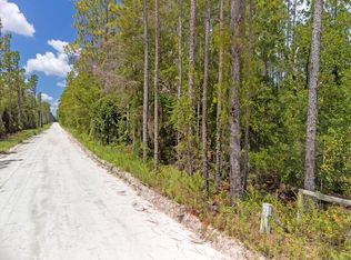 TBD NW 65th St, Bell, FL 32619