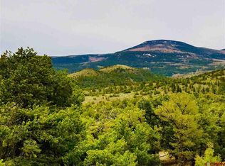 9 Pinon Hill Rd, South Fork, CO 81154