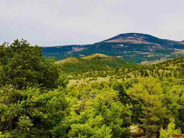 Parcel 9 Pinon Hills Road, South Fork, CO 81154