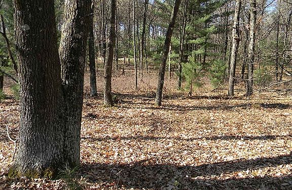 Actual photo of the property