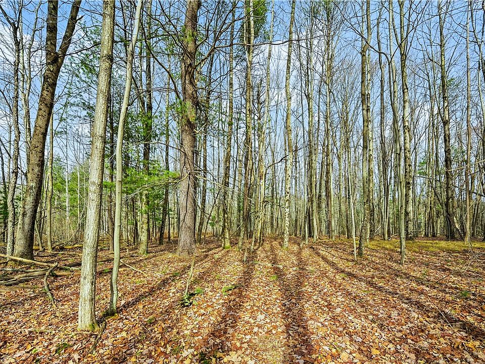 1st image of L13 Deer Path #13