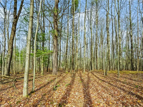 L13 Deer Path #13, Stamford, NY 12167
