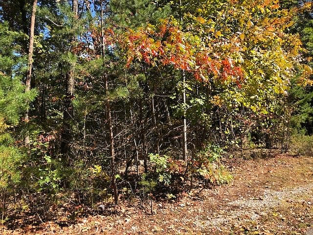 1st image of Scenic Woods Way