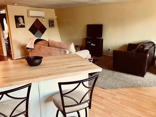 Kitchen and Livingroom Area