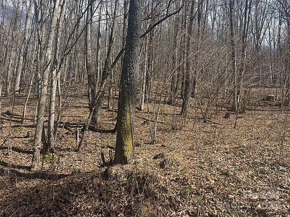 4th image of 14 Lower Trillium Ln